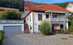Schwarzwaldglueck Apartment